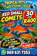 Red Comets Medium