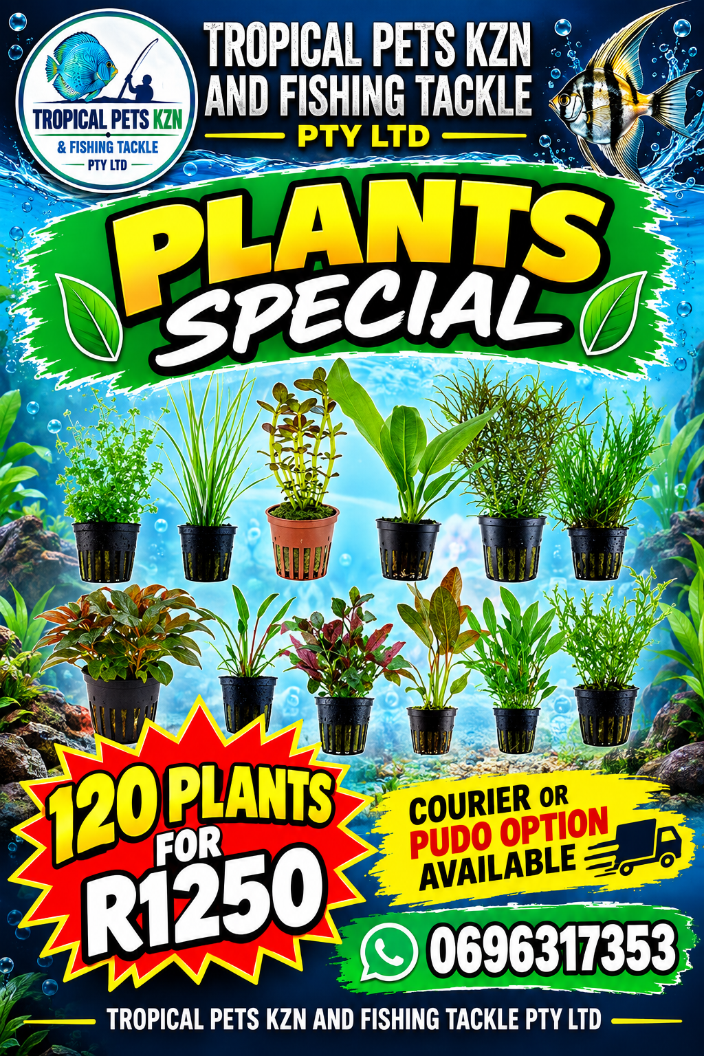 Mixed Assorted Plants (Min 30)
