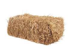 Hay Bales